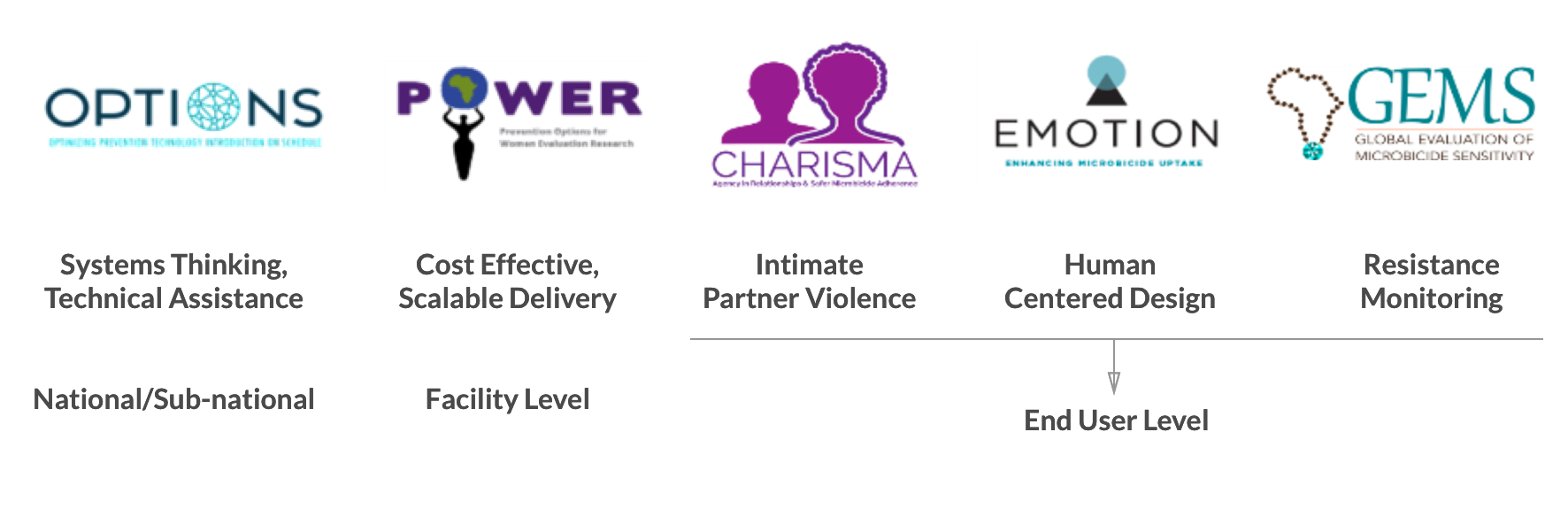 MPii Initiatives