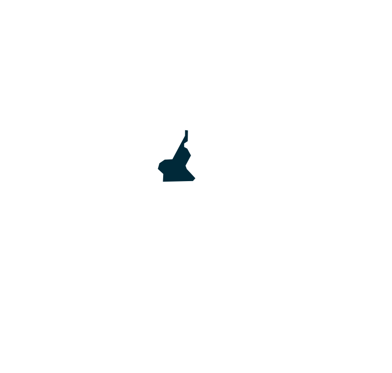 cameroon_countryProfile