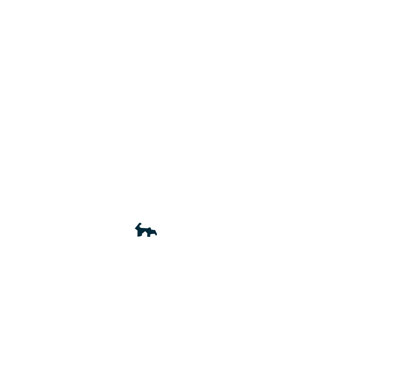 tajikistan-country-outline